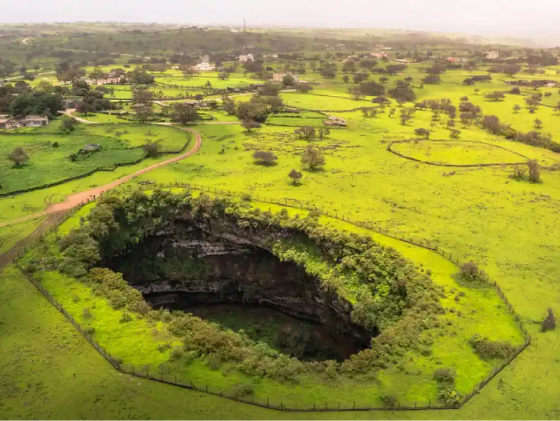 Salalah Nature Trip