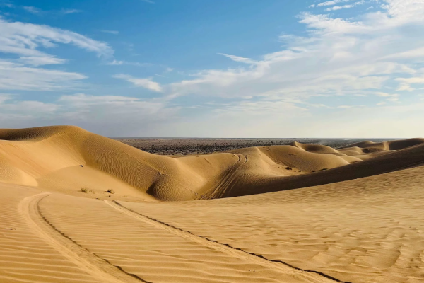 Salalah Adventure Trip: East Wadis, Empty Quarter Desert and West Coast Cliffs