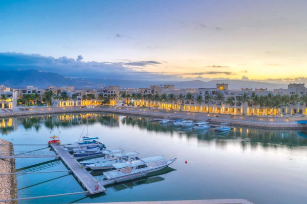 Salalah Dolphins Watching: Hawana Marina and Coastal Boat Tour Along the Arabian Sea