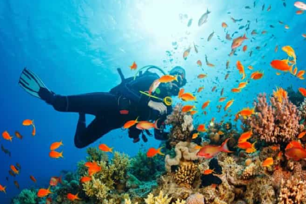 Salalah Snorkeling Excursion to Eagle Bay and Mirbat Reefs: Arabian Sea Coast Adventure