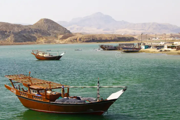 Salalah Fishing Trip from Hawana Marina: Coastal Cruise & Real Arabian Sea Catch