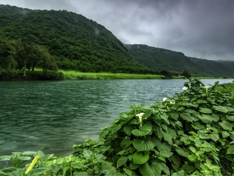 Salalah Nature Trip