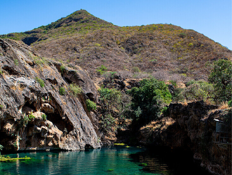 Salalah Nature Trip