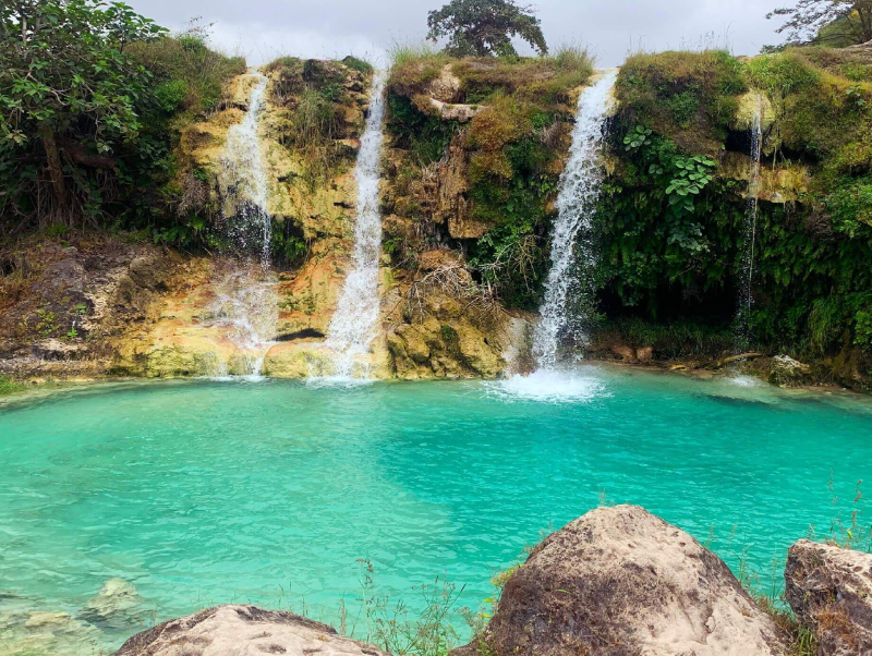 Salalah Nature Trip
