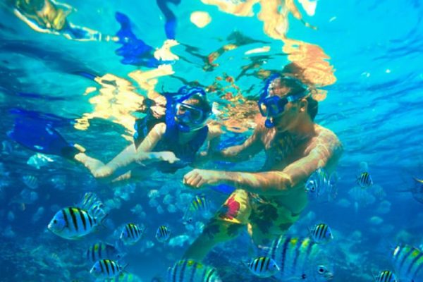Salalah Oman Snorkeling Tour along Mirbat Coast and Eagle Bay